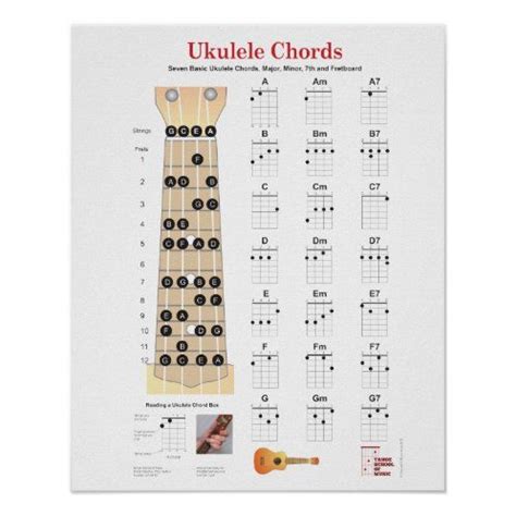 ukulele chords finger chart  fretboard poster zazzlecom ukulele chords ukulele ukulele