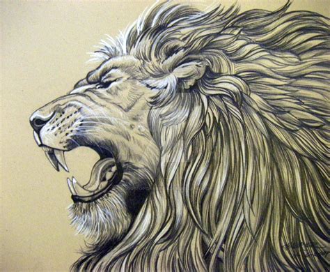 roaring lion  houseofchabrier  deviantart