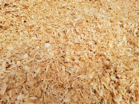 shavings bedding horse livestock dairy chicken stall stables nw dry