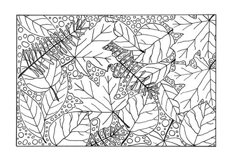 pin   adult coloring book pages