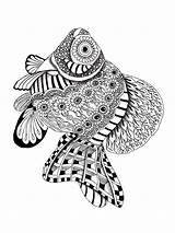 Coloring Pages Fish Zentangle Adults Adult Color Teens Bright Colors Favorite Choose sketch template