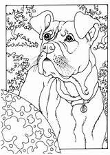 Boxer Coloring Pages Dog Kleurplaat Colouring Dogs Sheets German Pointer Print Kids Edupics Shorthaired Color Boxers Puppy Printable Adult Colour sketch template