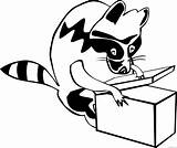Raccoon Coloring4free Coloring Printable Pages Gerald Opening Box Related Posts sketch template