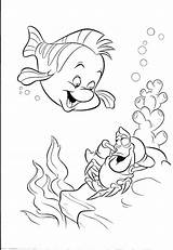 Coloring Sebastian Mermaid Pages Little Flounder Disney Ariel Dora Drawings Drawing Simple Kids Print Sheets Color Colouring Printable Book Characters sketch template
