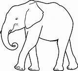 Mewarnai Gajah Elefante Diwarnai Elefantes Estilizado sketch template
