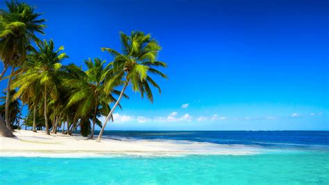 tropical beach  palm trees beautiful sky blue sea wallpaper