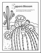 Coloring Cactus Pages Blossom Arkansas Pretty Saguaro Stunning Flower Razorbacks Birijus Getdrawings sketch template