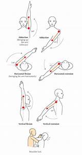 Flexion Limitations Flexibility Elbow Physiology Fundamentals Tutsplus Terminology Fracture Exercises Extremity Rehab Anatomie Schulter Joints Motions Swinging Menschen Humeral Nursing sketch template