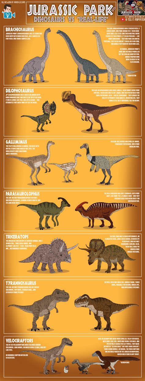 jurassic park  dinosaurs  real life illustrated infographic