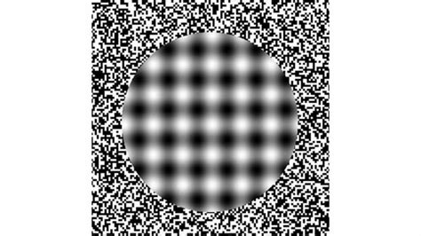 Optical Illusions What Do You See Youtube