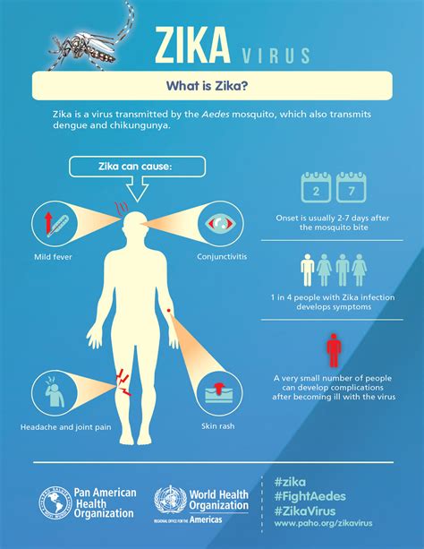 zika virus highlights flaws  public health approaches   americas part  impakter