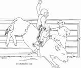 Stampede Coloring Pages Calgar Search Again Bar Case Looking Don Print Use Find sketch template