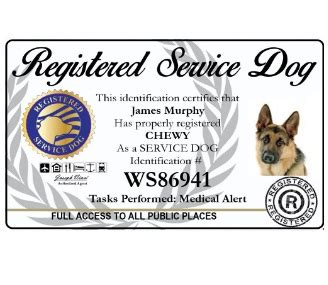 service dog id card service dog cards id  dogs service animal card