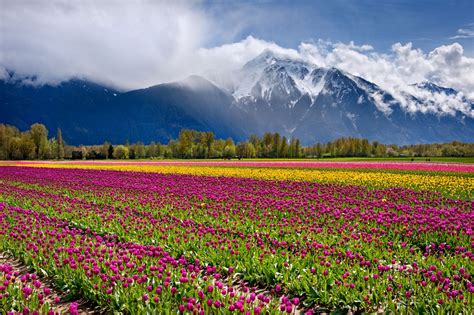 fraser valley bc canada places  visit travel skagit valley