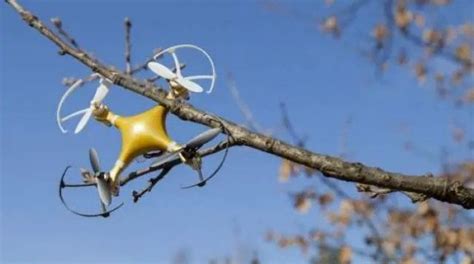 drone    tree drone aerial cinematography high tech drone