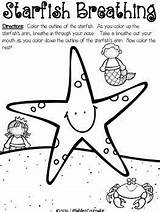 Breathing Worksheets Starfish Kids Coloring Therapy Deep Counseling Activities Worksheet Group While Anxiety Color Children Practice Outline Play Students Skills sketch template