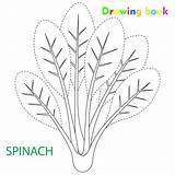 Drawing Spinach Vegetable Illustration Coloring Book Kids Preview sketch template