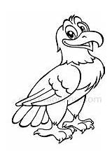 Aquila Aguila Aquile Disegni Cartonionline Cartone Animato Halcon sketch template