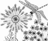 Dragonfly Realistic 101coloring sketch template