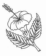 Coloring Flower Hibiscus Pages Printable Hawaiian Flowers Kids Drawing Clipart Sheets Plants Print Book Embroidery Patterns sketch template