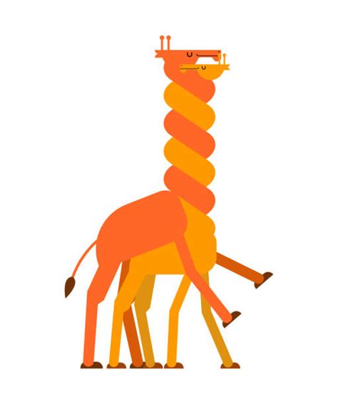 giraffe breeding background illustrations royalty free vector graphics