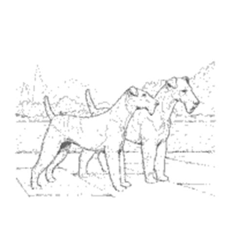 airedales coloring pages surfnetkids