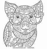 Coloring Pages Sheets Animal Adult Mandala Adults Colouring Book Pig Zen Color Printable Books Printables Print Shutterstock Kids Style Stock sketch template