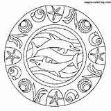Coloring Pages Mandala Dolphins Magic sketch template