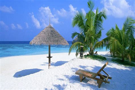 las top  mejores playas de cancun  tienes  visitar tips