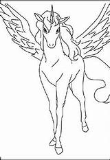 Pegasus Einhorn Ausmalbilder Ausmalbild Kleurplaat Eenhoorn Vleugels Pferde Kleurplaten Lyria Onchao Eenhoorns Pferd Malvorlagan Malvorlage Uitprinten Downloaden Regenboog sketch template