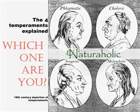 temperaments explained naturaholic