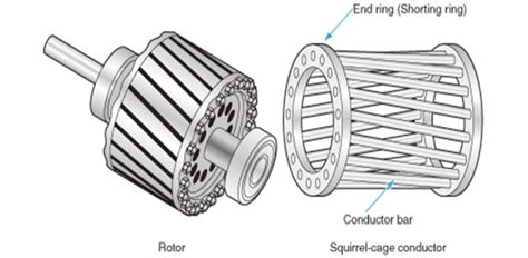 difference  squirrel cage  slip ring induction motor electrical concepts