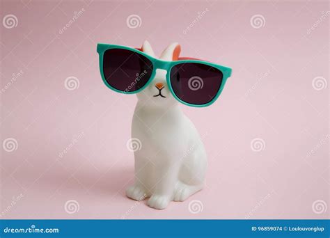 sunglasses bunny stock photo image  easter bunny