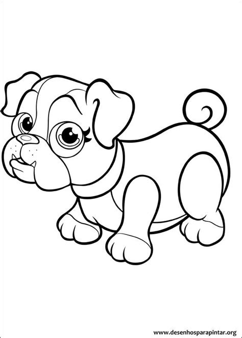 coloring pages  kids  images pet parade  coloring pages