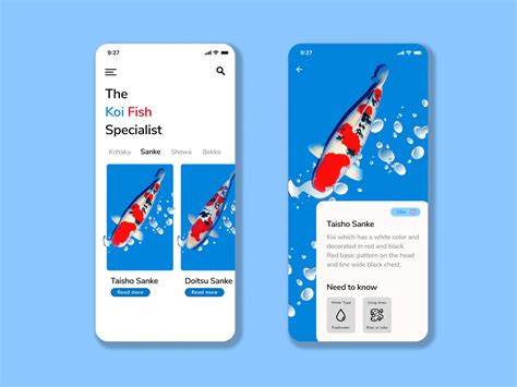 koi fish specialist ui ux mobile apps  hilda ayu tamara  dribbble