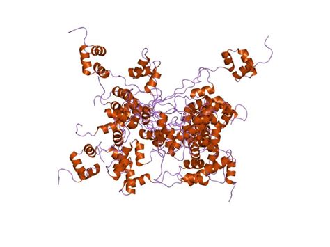 ichthyosis x linked ichthyosis sex linked steroid sulfatase