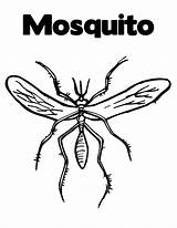 Mosquito Komar Coloring4free Kolorowanki Dzieci Dla sketch template