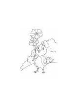 Cornflower Coloring Birdy Chick Selling sketch template