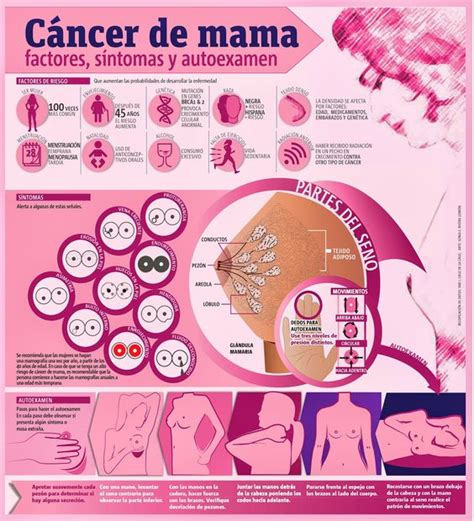 prevención del cáncer de mama recomendaciones