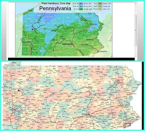 How To Find Out Your Hardiness Zone And Last Frost Date