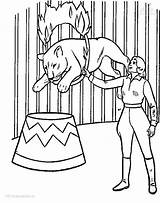 Kleurplaat Leeuw Kleurplaten Zirkus Leeuwen Malvorlagen Singa Mewarnai Animasi Tiere Bergerak Animaatjes Leoni Stemmen sketch template