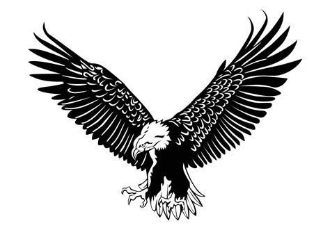eagle vector   vector art stock graphics images