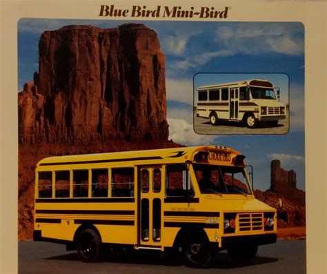 blue bird mini bird school bus brochure tn bus man flickr