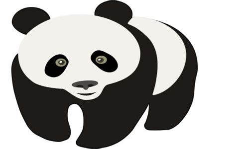 panda images panda drawing outline drawings tron tracing panda