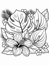 Colorear Planten Kleurplaat Colouring Hibiscus Madamteacher Royalty Gaddynippercrayons sketch template