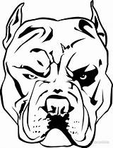 Pitbull Angry Drawing Head Dog Face Pitbulls Draw Drawings Redbubble Step Getdrawings Easy Paintingvalley sketch template