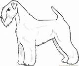 Terrier Wheaten Coated Soft Lines Drawing Getdrawings Deviantart sketch template