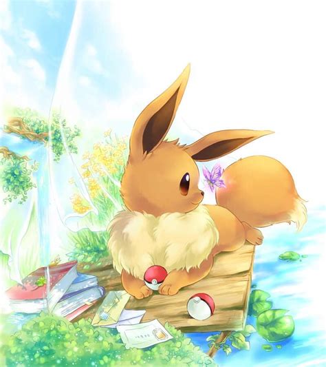 eevee pokemon amino