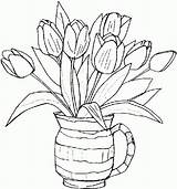 Tulip Coloring Color Pages Colouring Flower Popular Roses sketch template