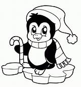 Coloring Cute Pages Penguin Kids Animal Baby Penguins Christmas Things Cards Winter Book sketch template